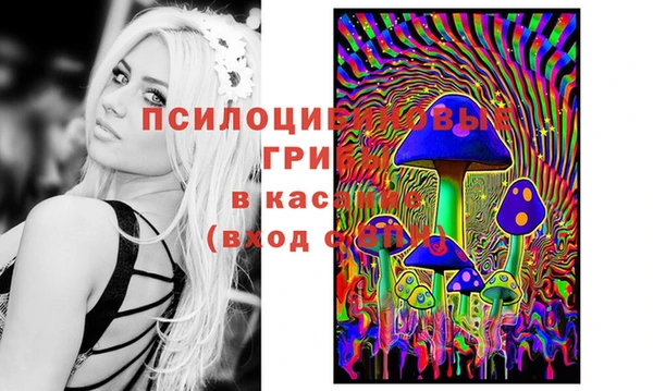 спиды Лагань