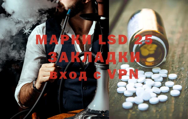 спиды Лагань