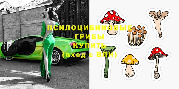 spice Кукмор
